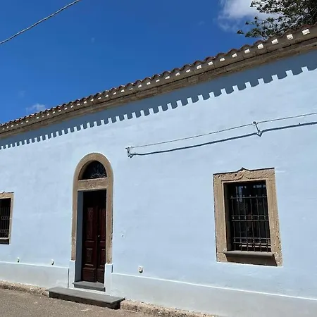 L'araucaria Il Ginepro *