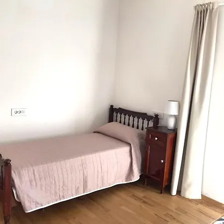 L'araucaria Il Ginepro *