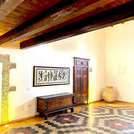 L'araucaria Il Ginepro *