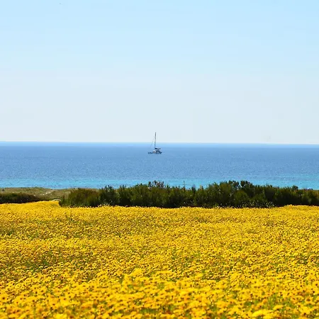L'araucaria Il Ginepro Appartement