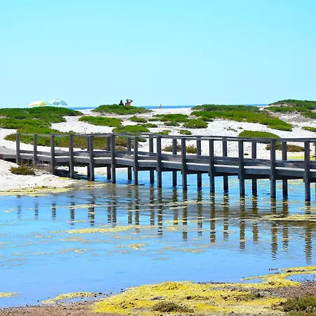 L'araucaria Il Ginepro Appartement *