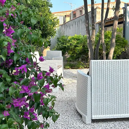 L'araucaria Il Ginepro Riola Sardo