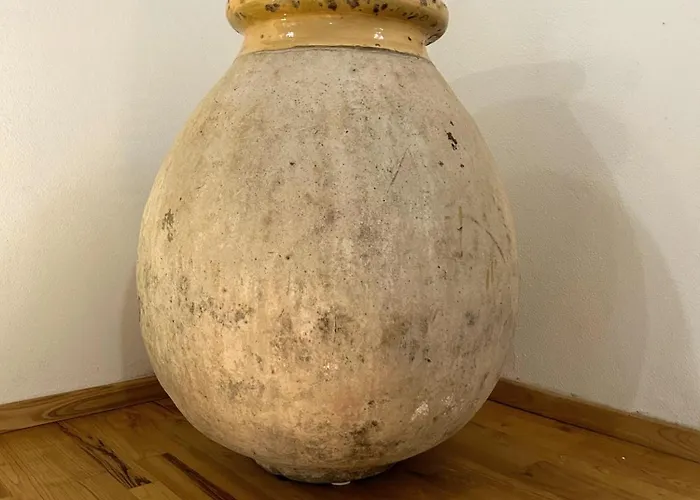 Daire L'araucaria Il Ginepro